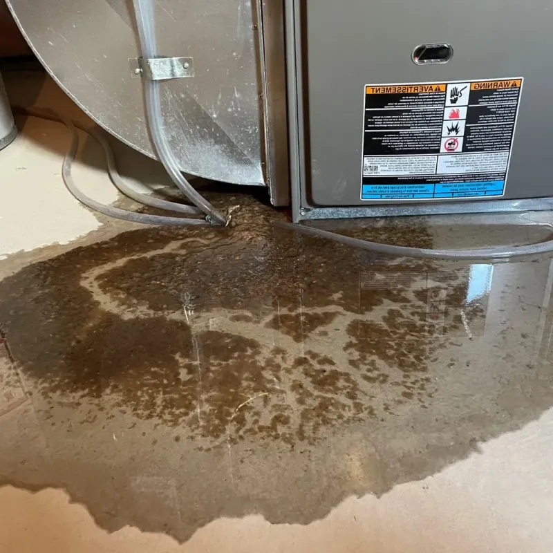 Pipe Burst and Leak Restoration in Bennett County, SD